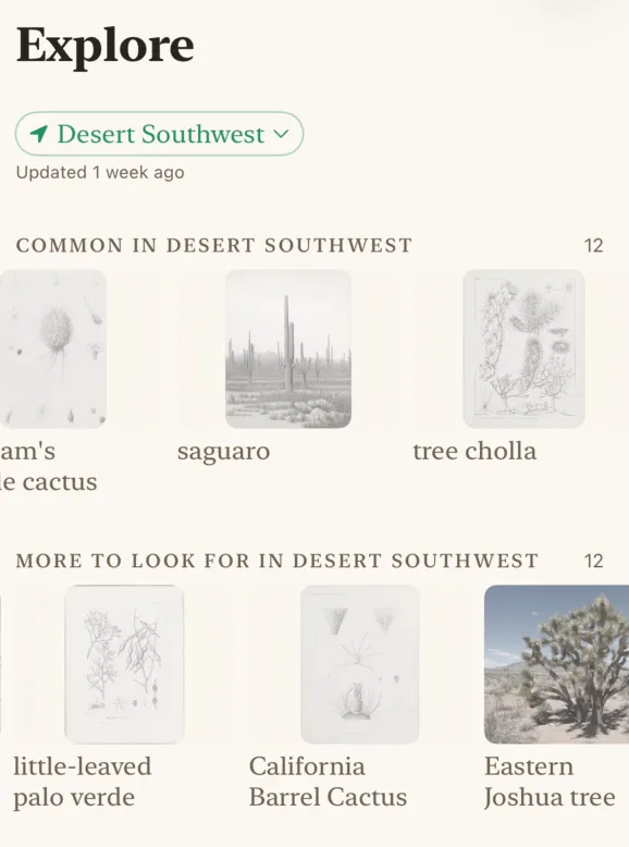 Exploring the Desert Southwest region in Fieldnote
