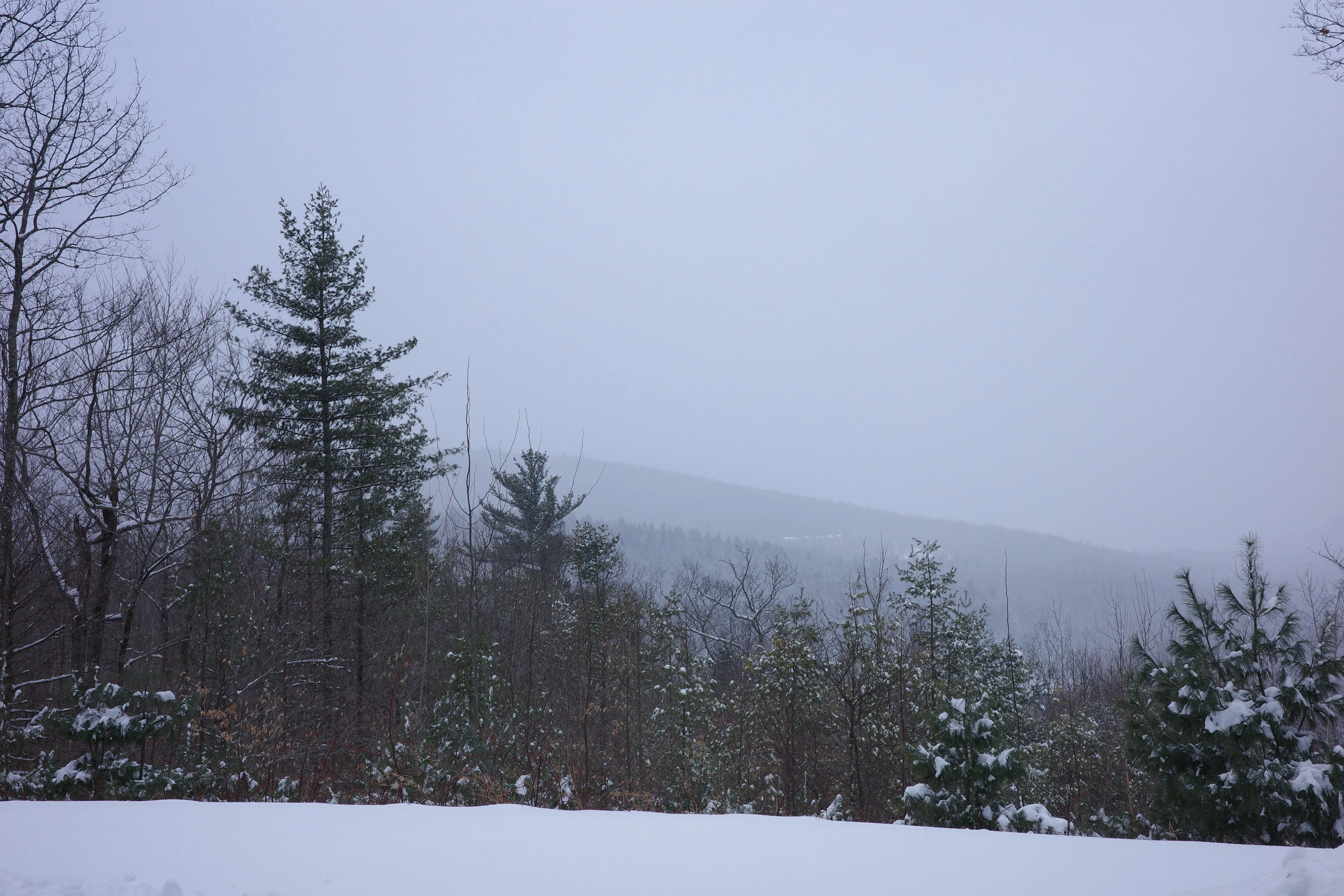 View from last time we shovelled, Feb. 2025