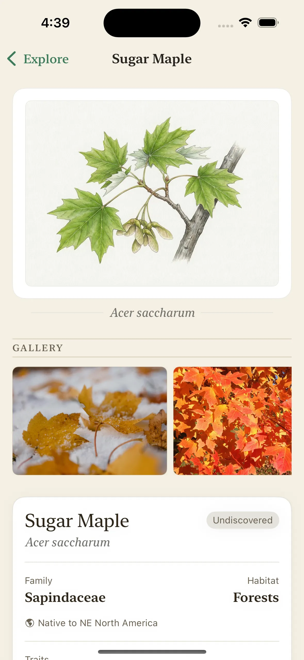 Fieldnote's plant gallery — tap to view full-screen and zoom into the detail